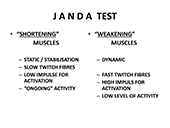 Handout Janda Flexibility Test